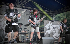 Christmas Ear Cleaning