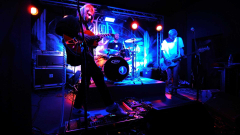 Polské dny v Ostravě: Fish Basket + Jarzmo