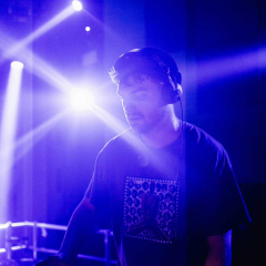 Pulsation Castle