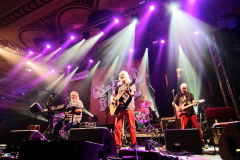 Synkopy 61 + Beer Reminder