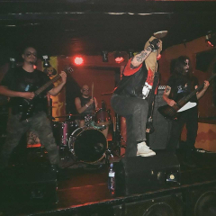 Kringa + Fessus + Otras