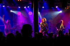 Waltari