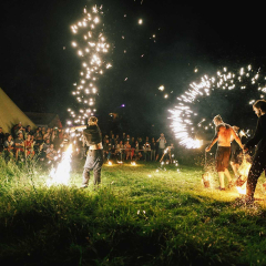 Digital Forest Festival 2026