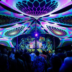 Digital Forest Festival 2026