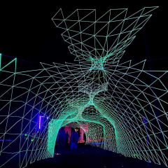 Digital Forest Festival 2026