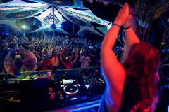 Digital Forest Festival 2026