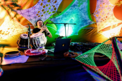 Digital Forest Festival 2026