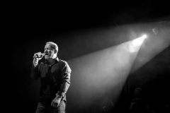 David Koller & Kollerband