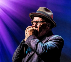 Blues Alive 2025