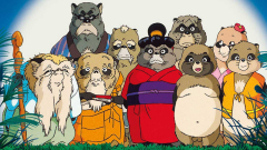 Tanuki Nights