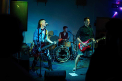 Plexisovjanka + Positive + Emergency Brake