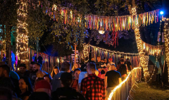 Coal Festival 2025