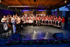 Sušilův folklorní den