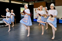 Sušilův folklorní den