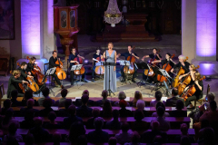 Akademie a Festival Otakara Ševčíka 2025