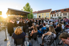 Akademie a Festival Otakara Ševčíka 2025
