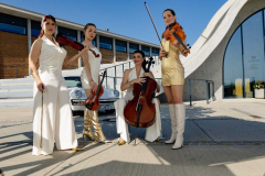 Vánoce s Karlem: Karel Hegner & Fashion Strings