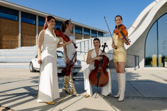 Vánoce s Karlem: Karel Hegner & Fashion Strings