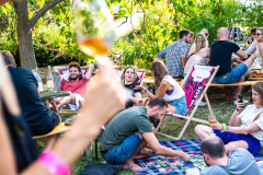 Vlci a ruže Minifestival 2025