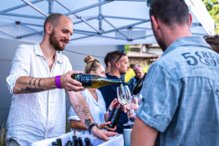 Vlci a ruže Minifestival 2025