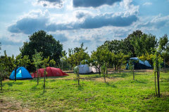 Vlci a ruže Minifestival 2025