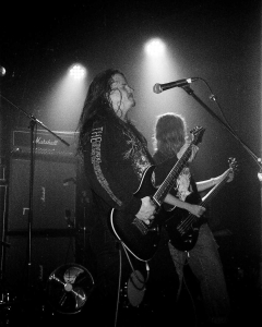 Kringa + Fessus + Otras