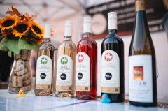 Svatomartinský košt v Plzni 2025