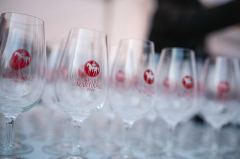 Svatomartinský košt v Plzni 2025