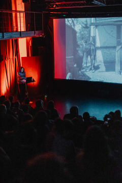 International Road Movie Festival 2025