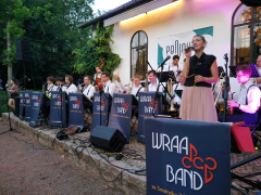 Robin Schenk a WraaDap Band