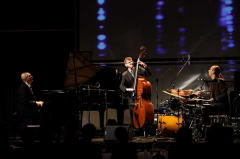 Procházky uměním: Viklický