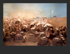 Mesiac fotografie 2025