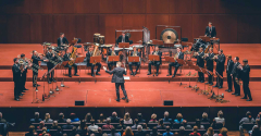 Vienna Brass Connection