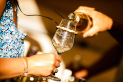 Pálavské vinobraní v Mikulově 2026