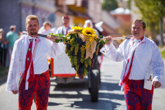 Pálavské vinobraní v Mikulově 2026