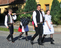 Velkopavlovické vinobraní 2026