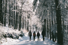 Lake Malawi: naHoru.tv Acoustic Tour 2026