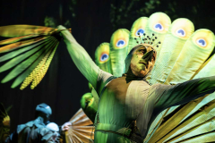 Festival ARENA bratří Formanů 2026