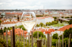 Bubble Wine Fest 2026