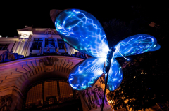 Standard – BLIK BLIK 2026 Plzeň