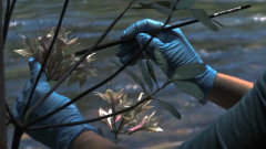 Pragueshorts: Soutěž LABO 1