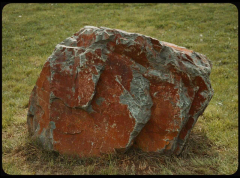 Pragueshorts: Národní soutěž 1