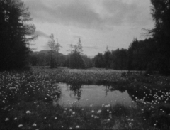 Pragueshorts: Andrea Gatopoulos – Digitální proroctví