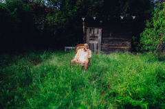 Mladí ladí jazz: jarní série 2026