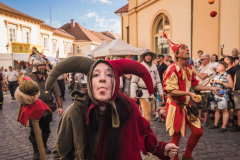 Mělnické vinobraní 2026