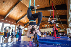 Festival Svetový deň cirkusu 2026