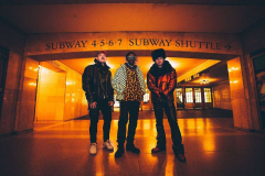 Groove Brno: Too Many Zooz