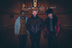 Groove Brno: Too Many Zooz