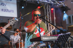Muzikus fest IV.