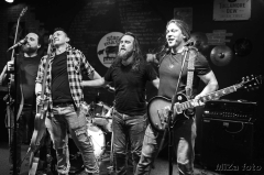 Muzikus fest IV.